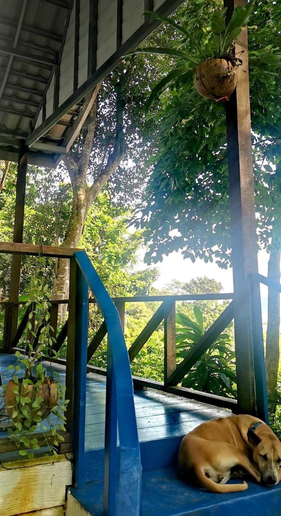 Rasta View Bangalows Koh Chang Exteriör bild